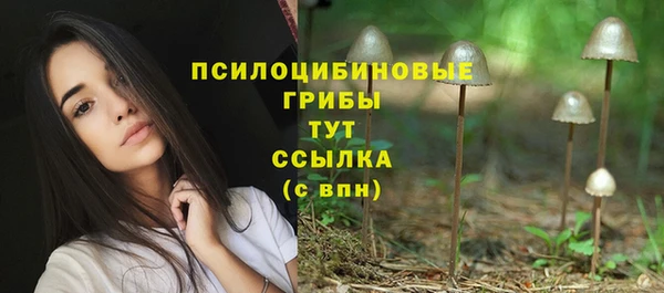 прущая мука Киренск