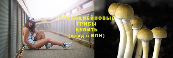 прущая мука Киренск