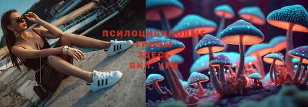 прущая мука Киренск
