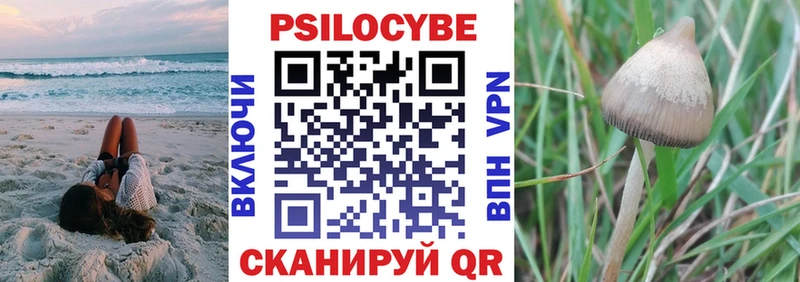 Псилоцибиновые грибы мицелий  Купить закладки  Игарка 